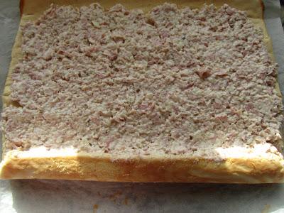 Tronco nevado SALADO