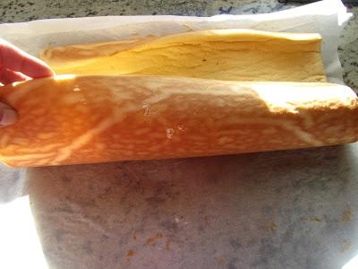 Tronco nevado SALADO