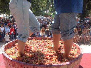 ¿Vino ecológico? Pues va a ser que no