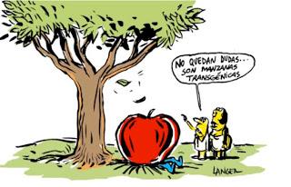 ¿Vino ecológico? Pues va a ser que no