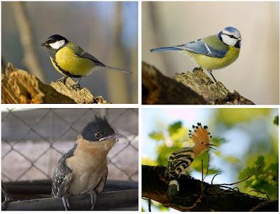 La última procesión La última procesión