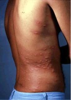 La última procesión La última procesión