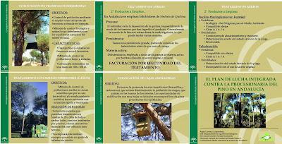 La última procesión La última procesión