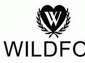 love wildfox