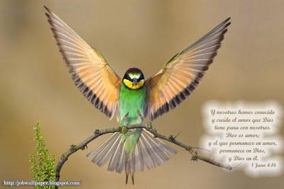 CONOZCA, CREA Y SIGA CONFIANDO EN SU AMOR