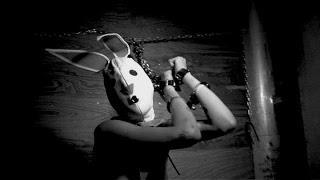 THE BUNNY GAME