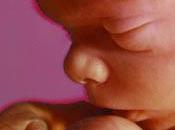 ¡Sigo aquí!, aunque embarazo movidito...