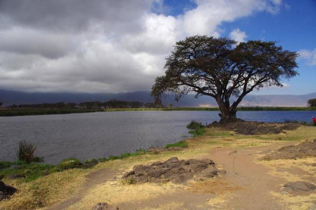 La extinción que dio paso a la vida