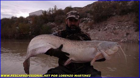 SILURO EN INVIERNO SILUROS Y SU PESCA EN DICIEMBRE