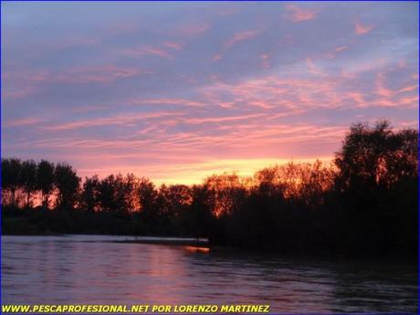 RIO EBRO1 640x480 SILUROS Y SU PESCA EN DICIEMBRE