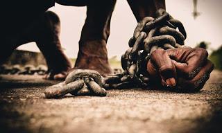 'El reino del azahar', de Linda Belago