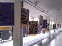 Actividades semana solidaria con la EA