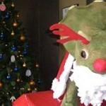 Actividades para hoy, 6 de diciembre