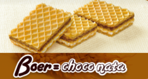 PRESENTACIÓN GALLETAS CORAL