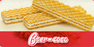 PRESENTACIÓN GALLETAS CORAL