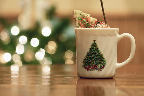 Little Christmas Tree