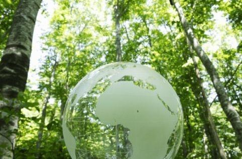 COMO CUIDAR EL MEDIO AMBIENTE