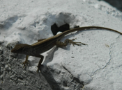 Salidas estancamiento