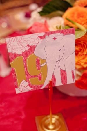 Algo nuevo... Una boda multicultural y con inspiración “médica”