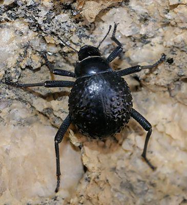 Sabias que han inventando una botella que transforma el aire en agua ? – CURIOSIDADES