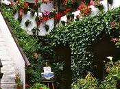 Patios Cordobeses, Patrimonio Inmaterial Humanidad Unesco