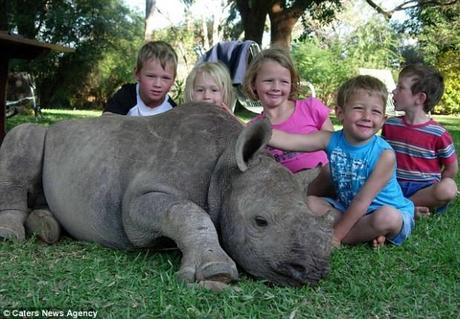 La mujer que tiene como mascota a un rinoceronte – NOTICIAS ACTUALIDAD