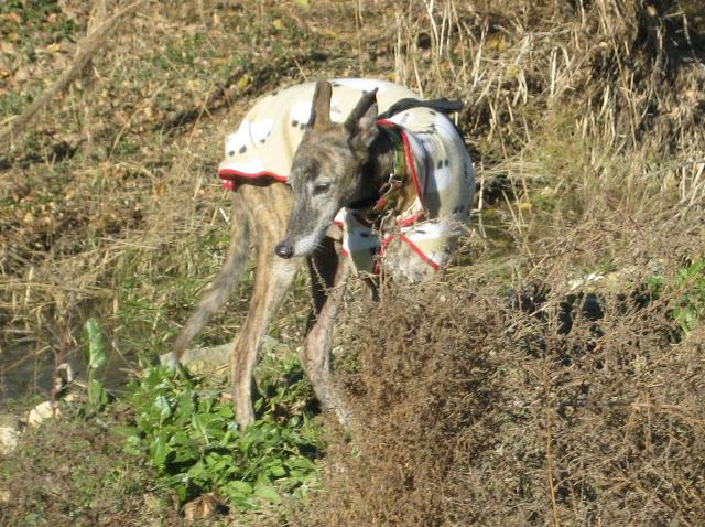 Cinco años compartidos contigo...