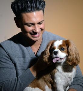Pauly D se une a ASPCA para ayudar a los animales afectados por el huracan Sandy