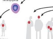 Motivos para conservar células madre cordón umbilical