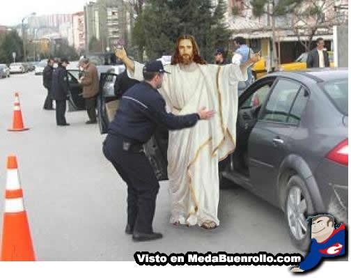 Control Rutinario para PerroFlautas