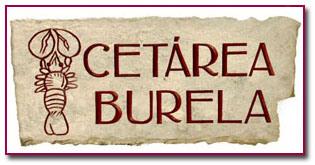 PabloD Gourmet - Logo de Cetarea Burela