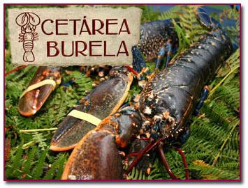 PabloD Gourmet - Cetarea Burela en navidad 2012