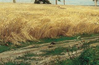 4 vueltas a esta tierra de rosas cansadas...