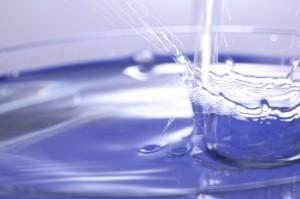 Gestiona tu equipo con transparencia.