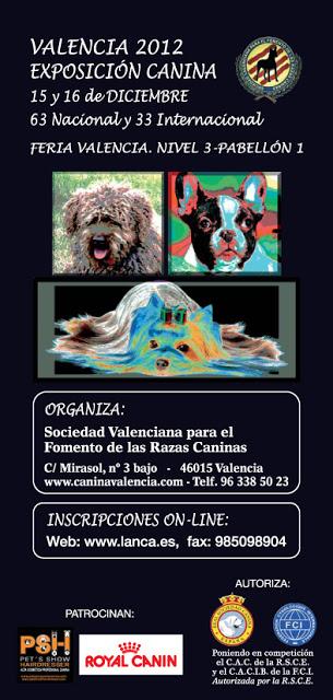 Exposición Canina Valencia 2012