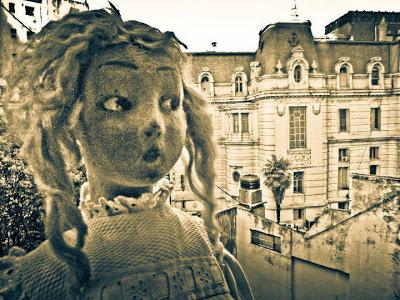 VIDRIO CONTRA EL PÁJARO