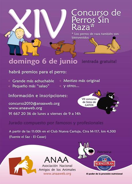ANAA organiza su XIV concurso de Perros Sin Raza
