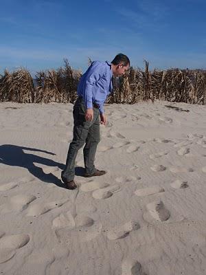 Un pequeño homenaje a Lost y The lessons from Lost