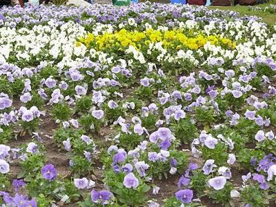 Argentina Bicentenaria: Recordando las Palabras de Mariano Moreno