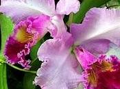 Tips consejos para estar mejor organizadas