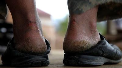 Your Movie Sucks! (con perdón de Roger Ebert)/XX: 2012