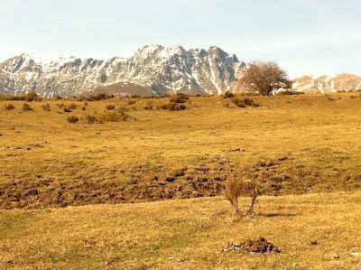 Por Fuentes Carrionas