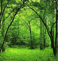 Diciembre sin arte de escribir