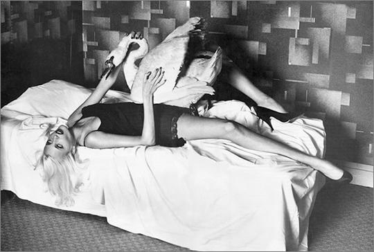 Referencias Imprescindibles 6