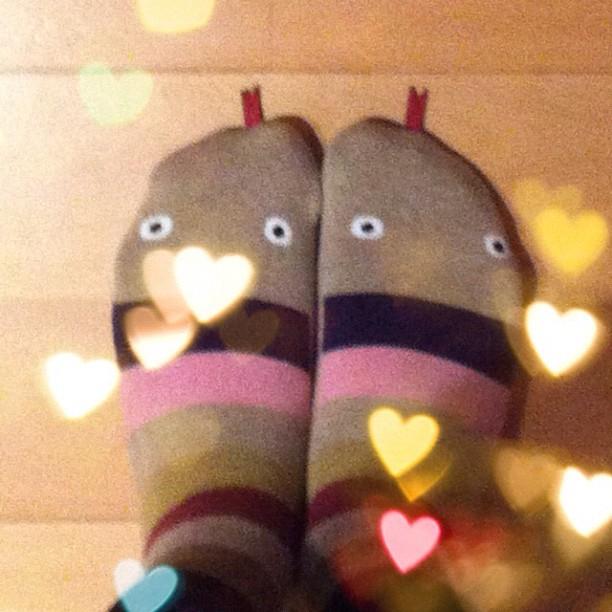 snapshots of the week 6