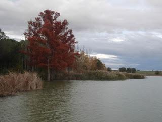 Las Cinco Villas (Zaragaza) - 2012