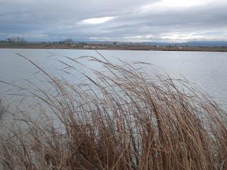 Las Cinco Villas (Zaragaza) - 2012