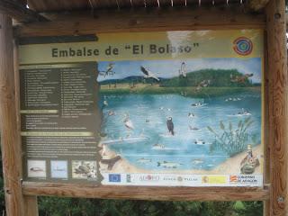 Las Cinco Villas (Zaragaza) - 2012