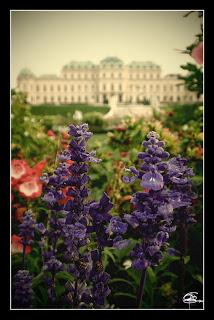 ¿Qué ver en Austria?