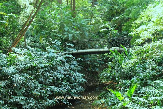 Jardín Botánico de Málaga: Puente de los Enamorados.